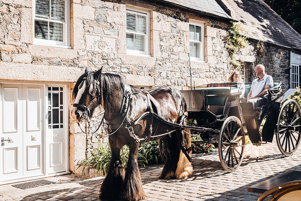 Horse and Carriage on Sark