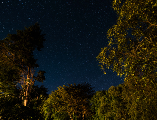 Stargazing on Sark Island